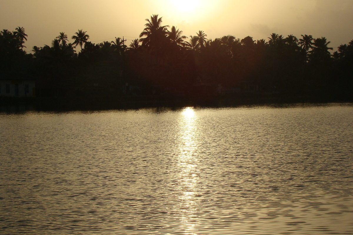 Sunrise over the backwaters, the sun low and gold on the water behind a line of palms.