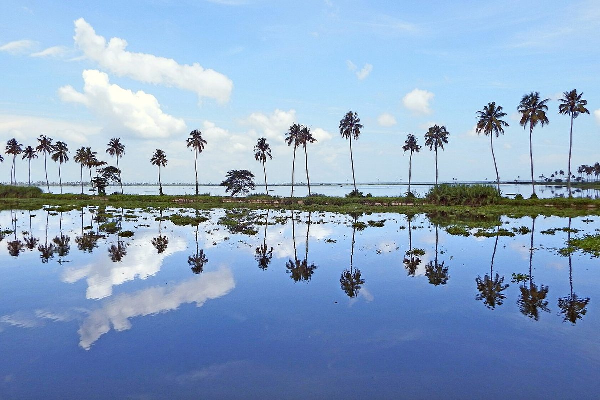 Vembanad Lake in flat calm, a row of palms and clouds mirrored on the surface.