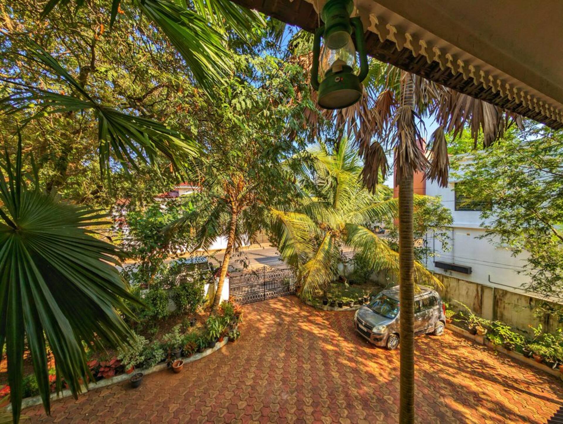 The garden seen from the upstairs balcony, thick with palms and flowering plants.