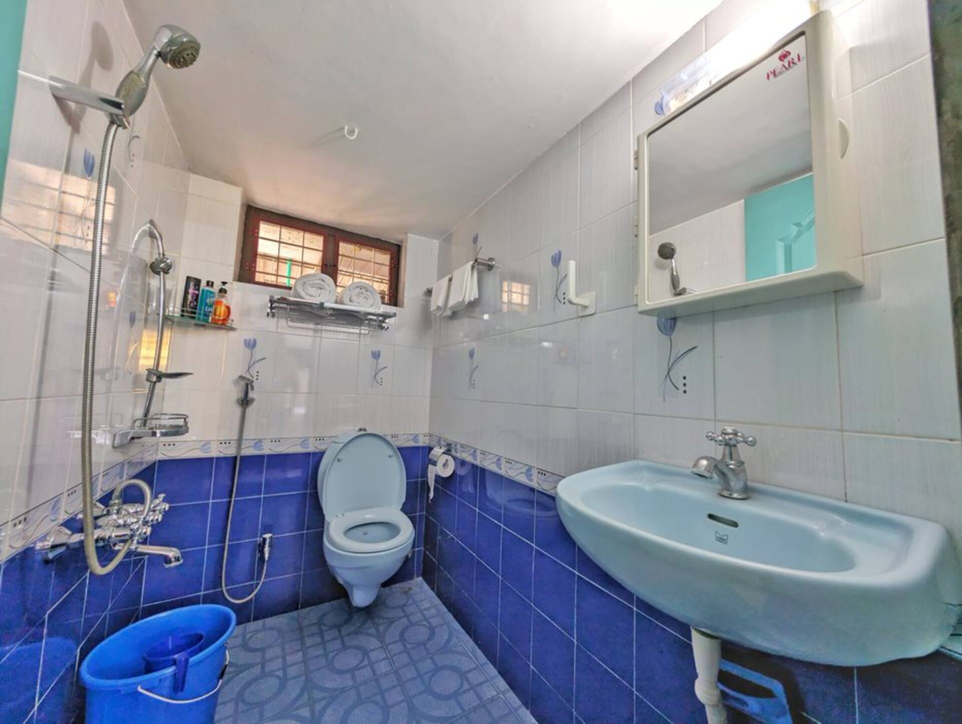 Sapphire Room, bathroom shower